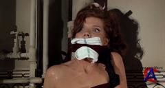 / The Collector (1965)