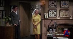  / The Collector (1965)