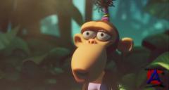   / Marco Macaco