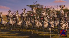   / Madly Madagascar