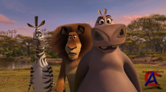   / Madly Madagascar