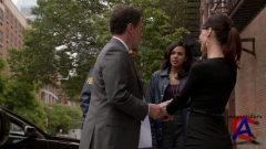   / White Collar (4)