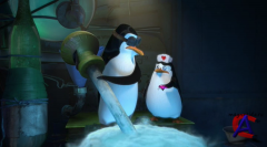   / Madly Madagascar