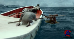   / Life of Pi