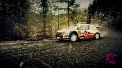   / Top Gear (19 )