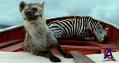   / Life of Pi