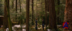 . . :  2 / The Twilight Saga: Breaking Dawn - Part 2