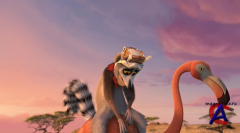   / Madly Madagascar