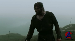  / Vikings (1 )