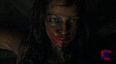  / The Woman