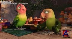  / Zambezia