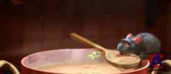  / Ratatouille