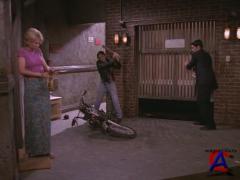    1 , 1 - 23  / Dharma nd Greg