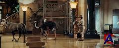    2 / Night at the Museum: Battle of the Smithsonian