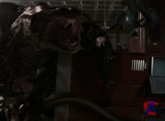  / The Faculty