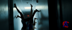   / Spring Breakers