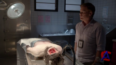   / Dexter [ 8]