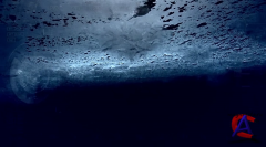  / Europa Report