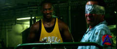   :  / Pain & Gain