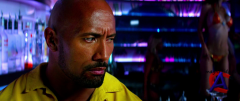   :  / Pain & Gain