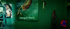 :  III / The Hangover Part III