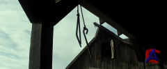   / The Lone Ranger