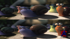  / Turbo 3D