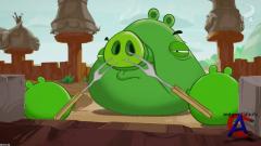   / Angry Birds Toons!