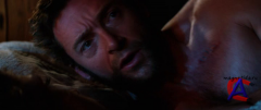 :  / The Wolverine
