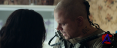 :     / Elysium