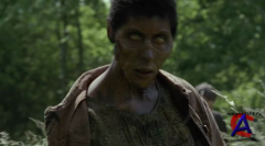   / The Walking Dead (3 - 4 )