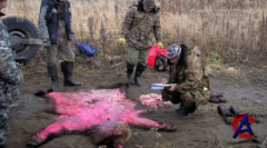  :    / Vinnie Jones: Russias Toughest