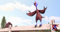 :    / Free Birds