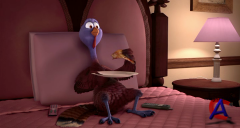 :    / Free Birds