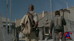   / The Walking Dead (3 - 4 )