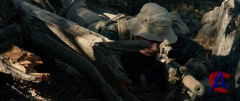  / Lone Survivor