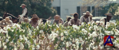 12   / 12 Years a Slave