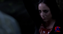  / Supernatural (10 )