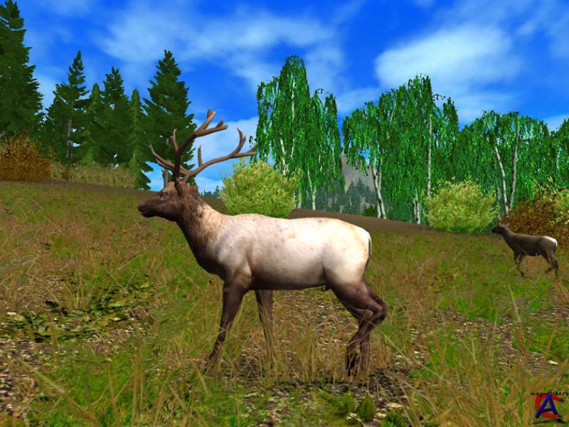 Deer Hunting Games Download.