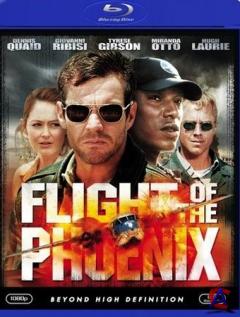   / Flight Of The Phoenix