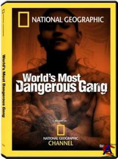 MS 13 -      / Worlds Most Dangerous Gang