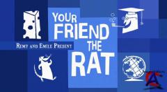    / Your friend the Rat