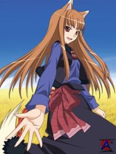   /Spice and Wolf