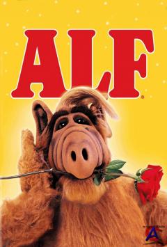  / Alf [ 1]