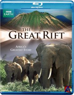 BBC:   -    / BBC: Great Rift - Africas Wild Heart (3   3)