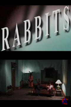  / Rabbits