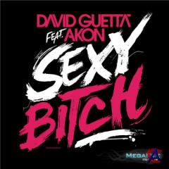 David Guetta feat Akon - Sexy Bitch