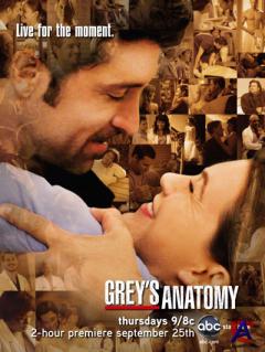   / Greys Anatomy (5 )