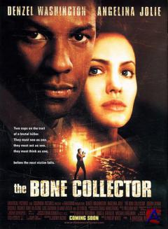  /   / The bone collector