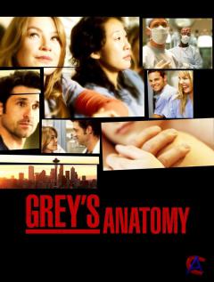   / Greys Anatomy (1 )